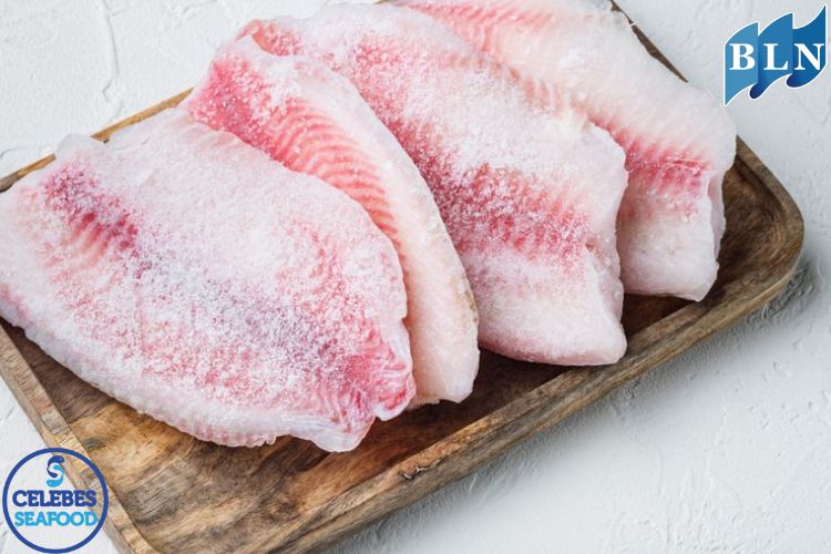  Here are The Advantages of Buying Frozen Fish